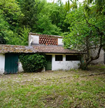 Foto annuncio 25