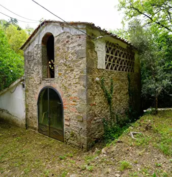 Foto annuncio 27
