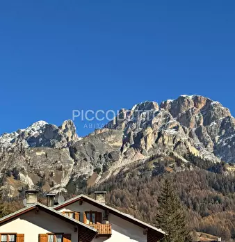 Foto annuncio 10