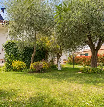 Foto annuncio 3