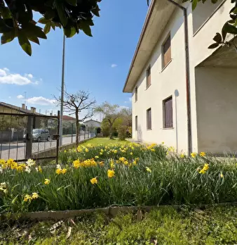 Foto annuncio 1