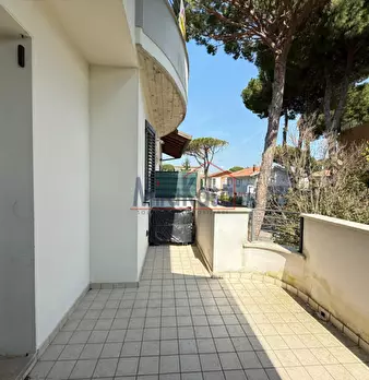 Foto annuncio 12