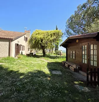 Foto annuncio 24