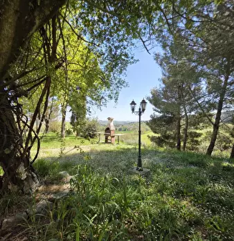 Foto annuncio 31