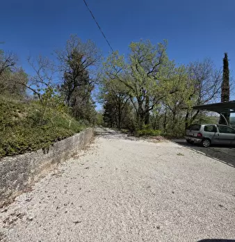Foto annuncio 32