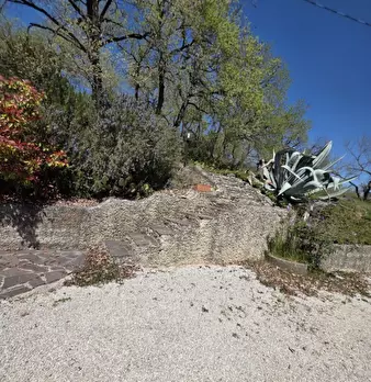 Foto annuncio 37