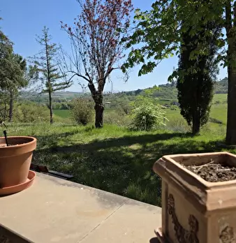 Foto annuncio 38