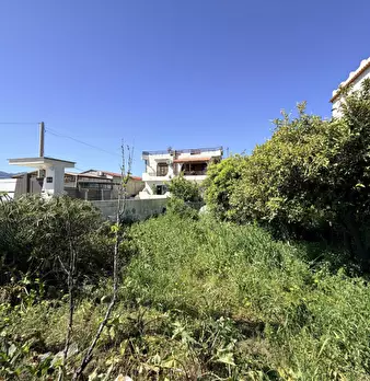 Foto annuncio 37