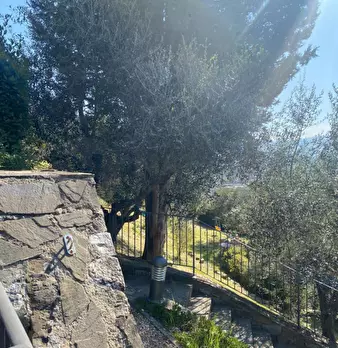 Foto annuncio 20