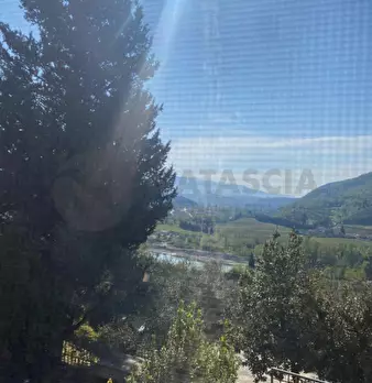 Foto annuncio 23