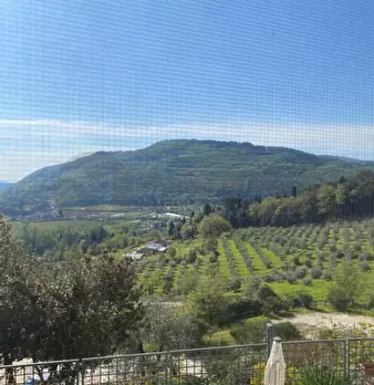 Foto annuncio 24