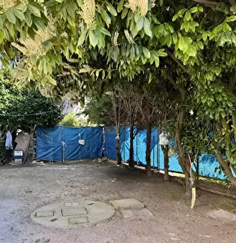 Foto annuncio 13