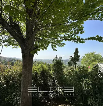 Foto annuncio 16
