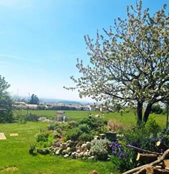 Foto annuncio 8