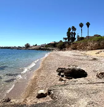 Foto annuncio 84