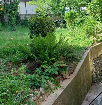Foto annuncio 3