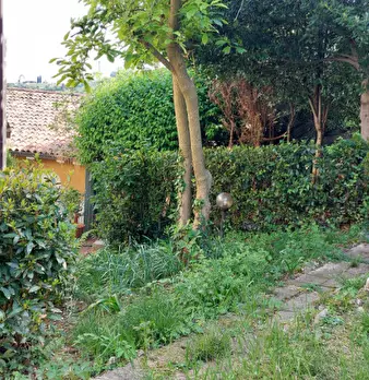 Foto annuncio 4