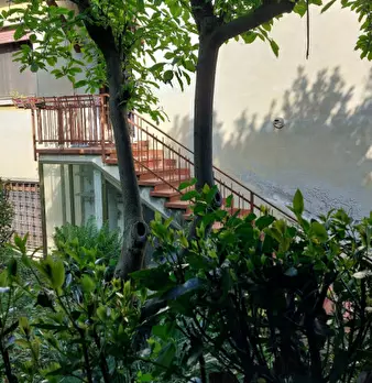Foto annuncio 5