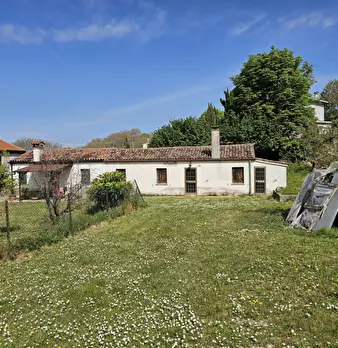 Foto annuncio 1