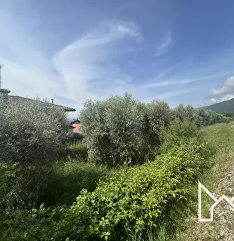 Foto annuncio 4