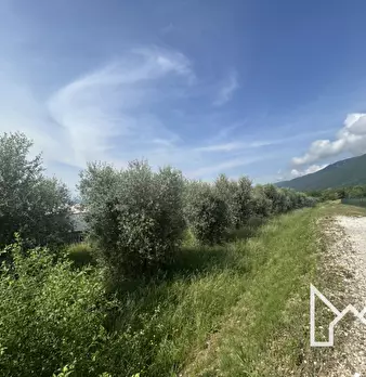 Foto annuncio 6