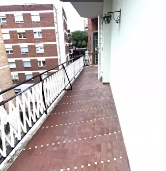 Foto annuncio 11