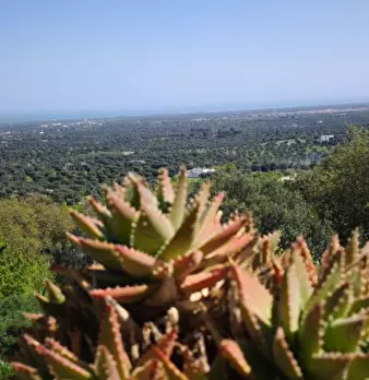 Foto annuncio 2
