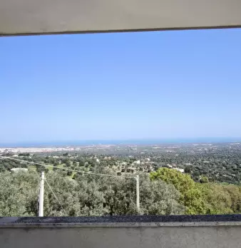 Foto annuncio 18