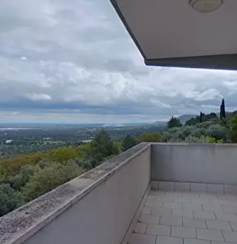 Foto annuncio 36