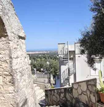 Foto annuncio 40