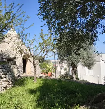 Foto annuncio 41