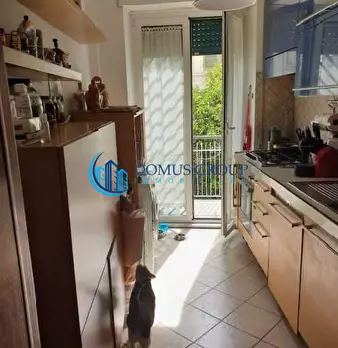 Foto annuncio 10