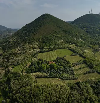 Foto annuncio 33