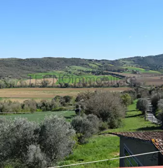 Foto annuncio 4