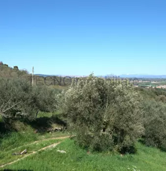 Foto annuncio 14