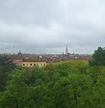 Foto annuncio 24