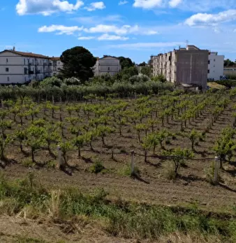 Foto annuncio 1