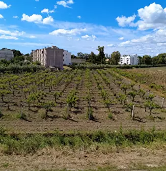 Foto annuncio 2