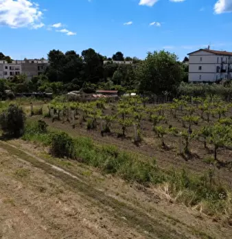 Foto annuncio 6
