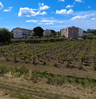 Foto annuncio 17