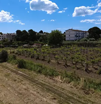 Foto annuncio 18