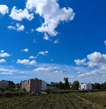 Foto annuncio 19