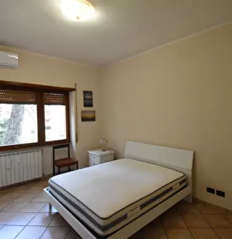 Foto annuncio 29