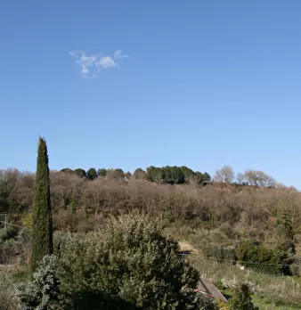 Foto annuncio 34