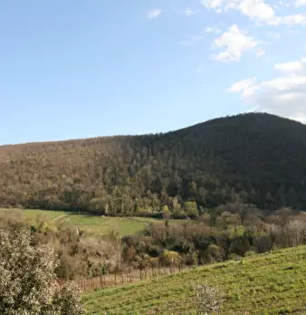 Foto annuncio 35