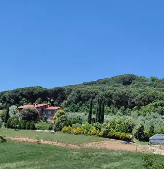 Foto annuncio 39