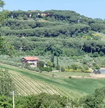 Foto annuncio 40