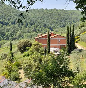 Foto annuncio 41