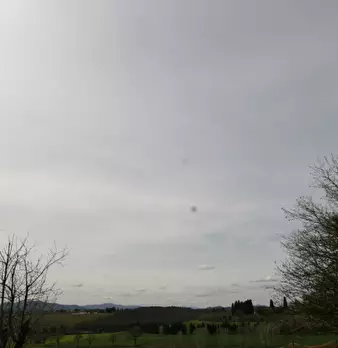 Foto annuncio 8