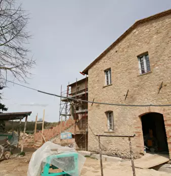 Foto annuncio 9